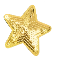 Sequin Yellow Star - Embroidered Patch